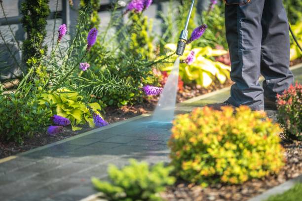 Best Restaurant Pressure Washing  in Shandon, CA