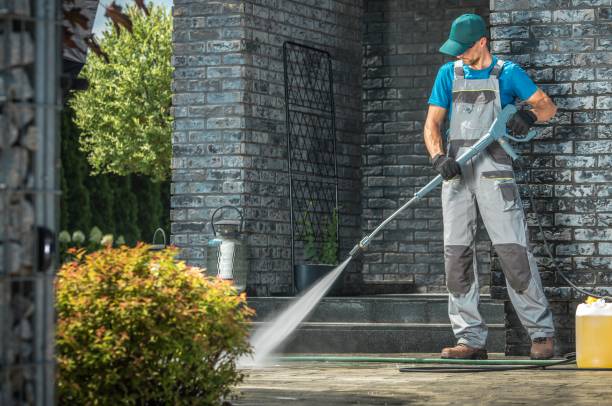 Best Soft Washing  in Shandon, CA